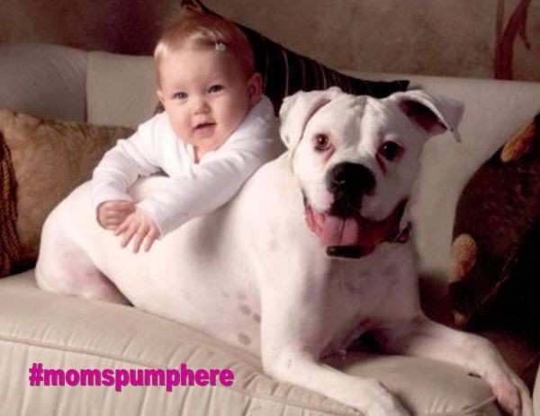 Pets and Breastfeeding Your Baby