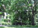 Photo of University of Chicago - Beecher Hall  - Nursing Rooms Locator