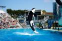 Foto de SeaWorld San Diego  - Nursing Rooms Locator