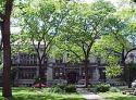 Photo of University of Chicago - Haskell Hall  - Nursing Rooms Locator
