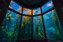 Foto de Monterey Bay Aquarium  - Nursing Rooms Locator