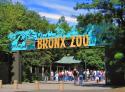 Photo of Bronx Zoo Lactation Room  - Nursing Rooms Locator