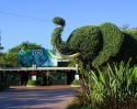 Photo of San Diego Zoo  - Nursing Rooms Locator