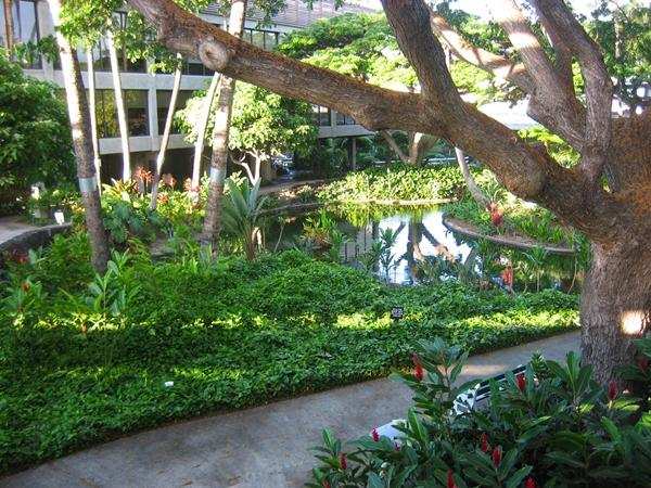 Photo of Honolulu International Airport outdoor courtyard