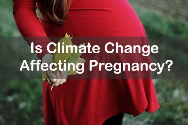 Is Climate Change Affecting Pregnancy?